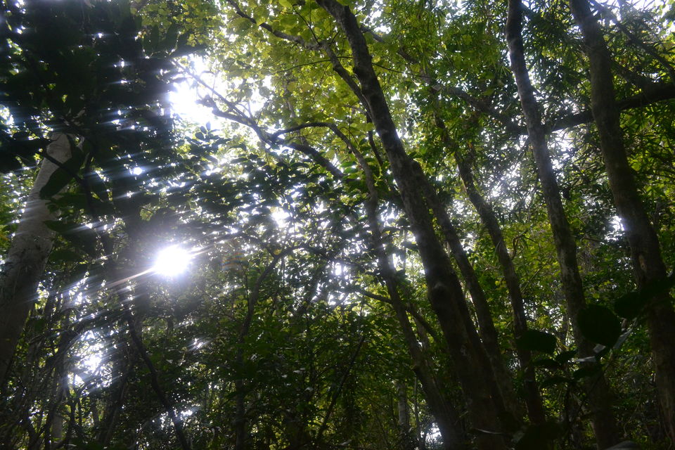 Photo of Trekking to/from Cape Engano by Kim Buenafe