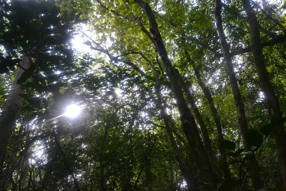 Photo of Trekking to/from Cape Engano by Kim Buenafe
