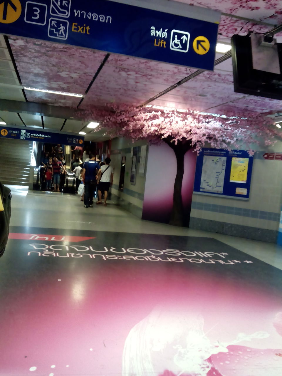 Photo of When Bangkok Beckons 30/35 by Anusha Ranganathan