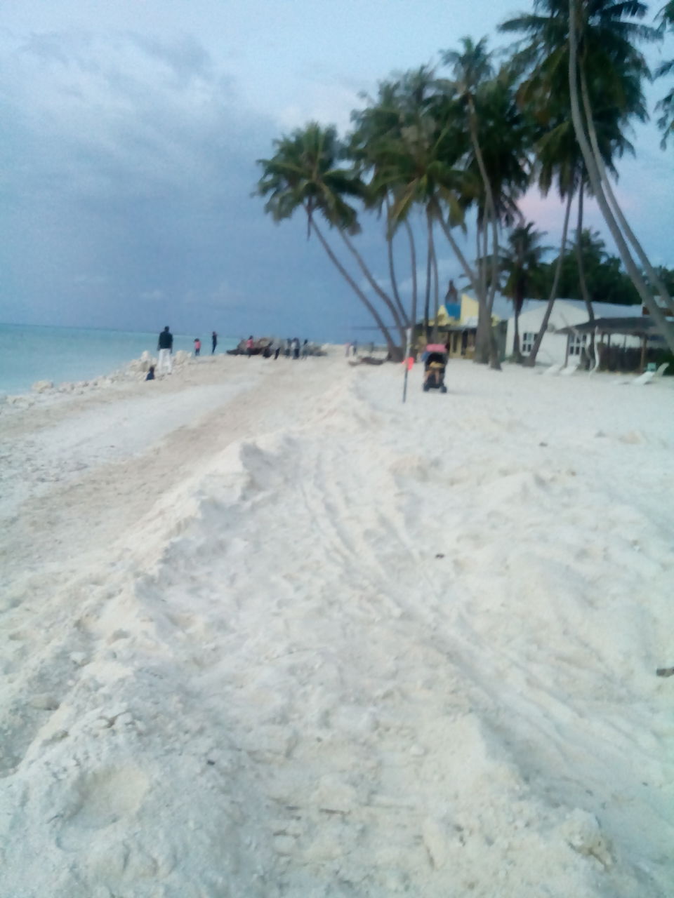 Photo of Maldives: White Sands, Beaches and Best Friends 2/7 by Anusha Ranganathan