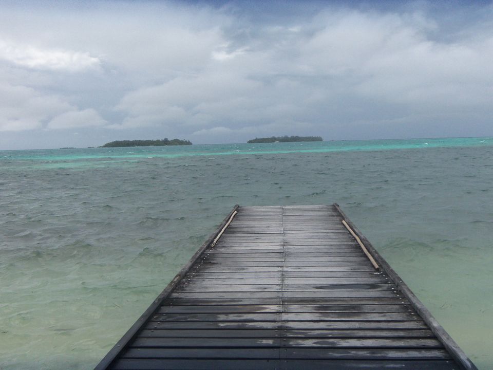 Photo of Maldives: White Sands, Beaches and Best Friends 7/7 by Anusha Ranganathan