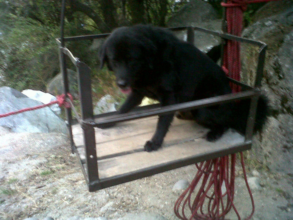 Photo of Peace at Raju's cottage 8/10 by Shweta Modgil