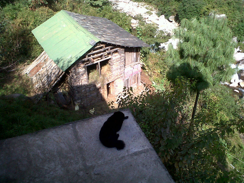 Photo of Peace at Raju's cottage 9/10 by Shweta Modgil