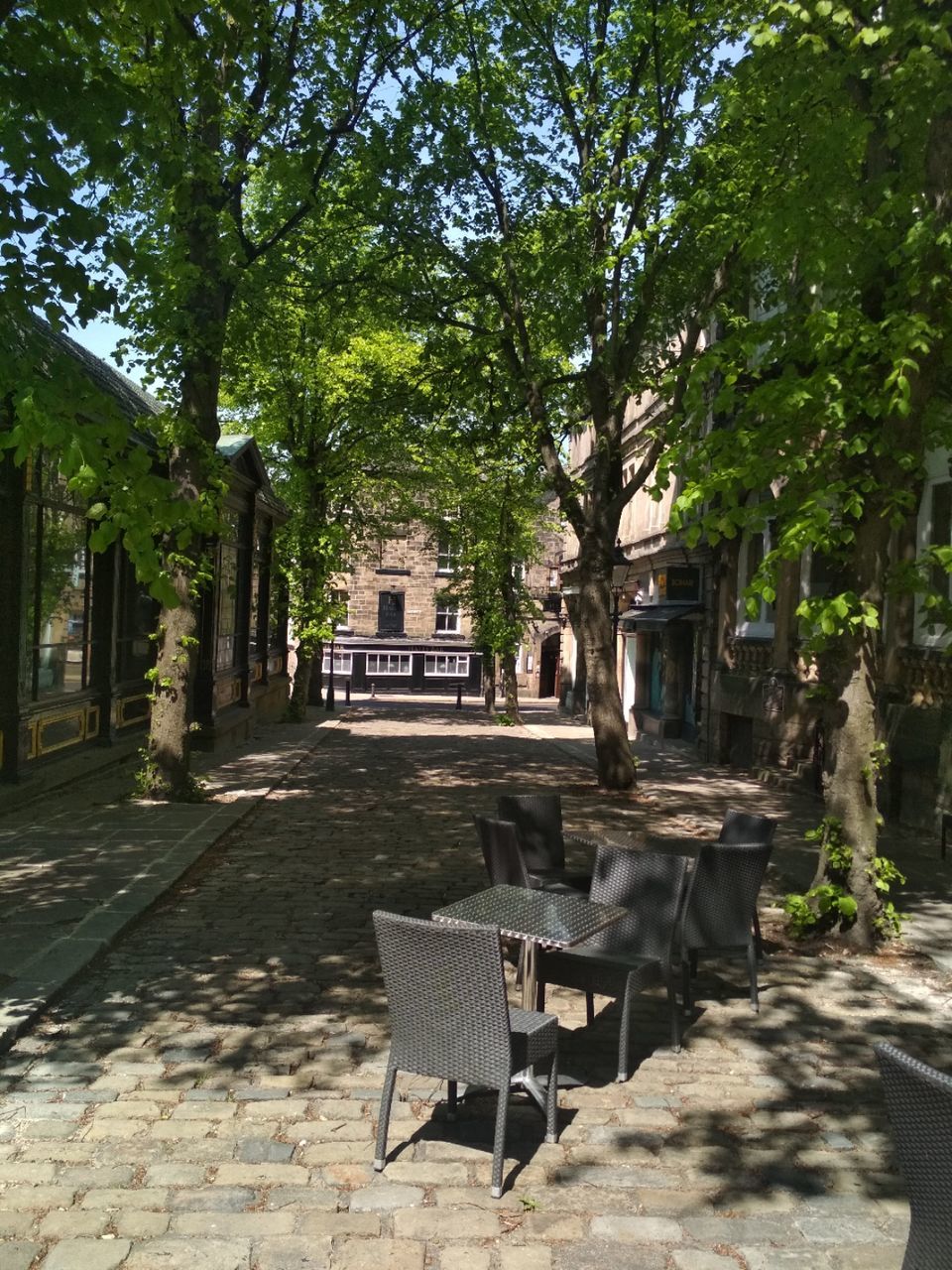Photo of The Stray, W Park, Harrogate, UK by Kevin Julius