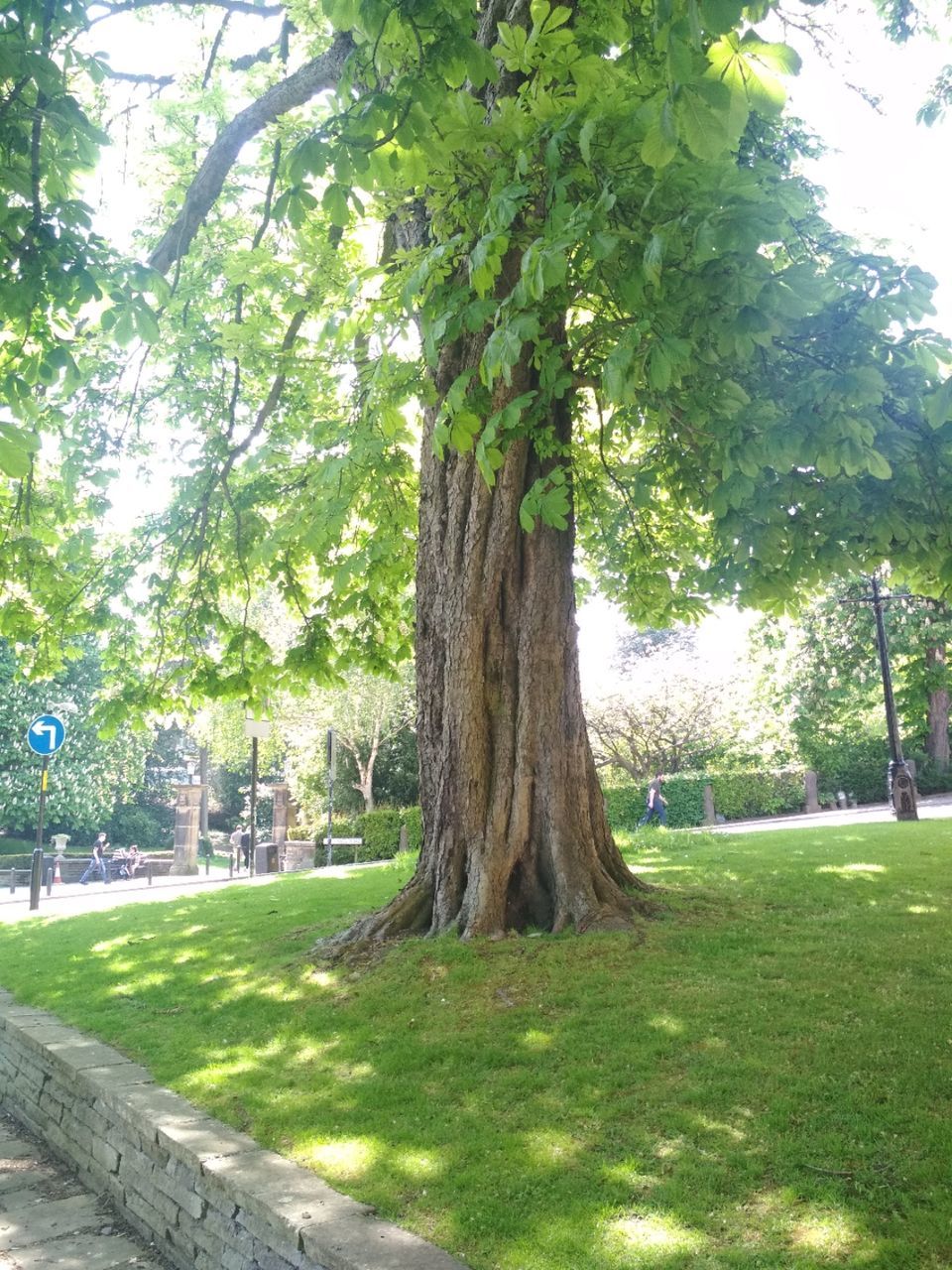Photo of The Stray, W Park, Harrogate, UK by Kevin Julius