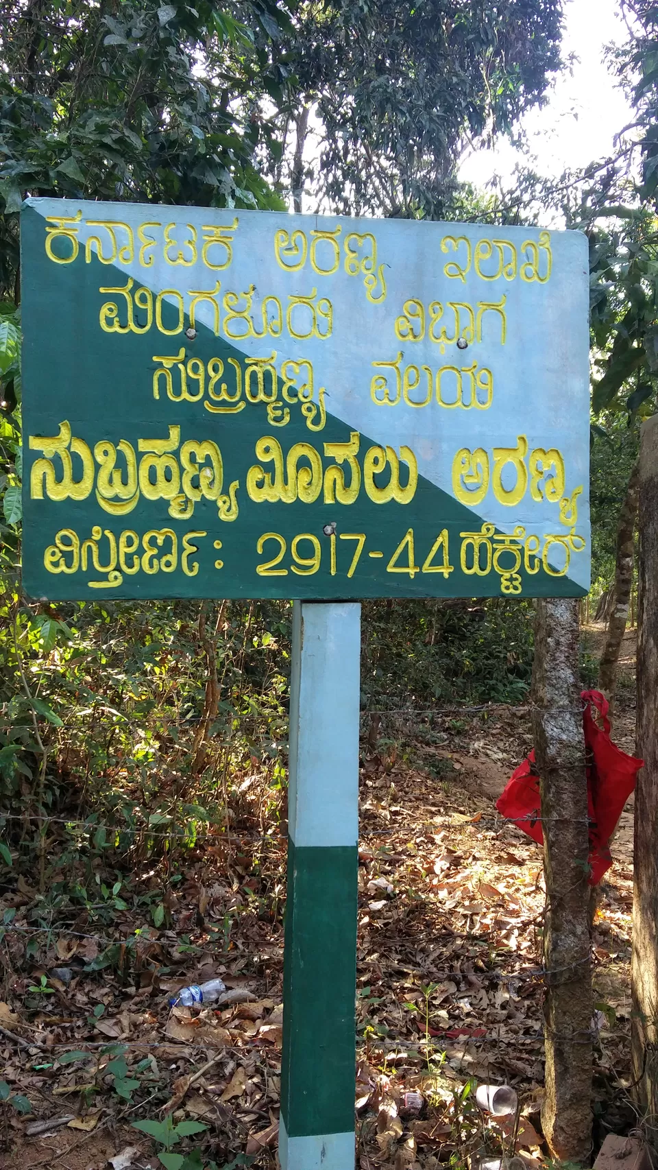 Photo of Kumara parvatha by Kevin Julius