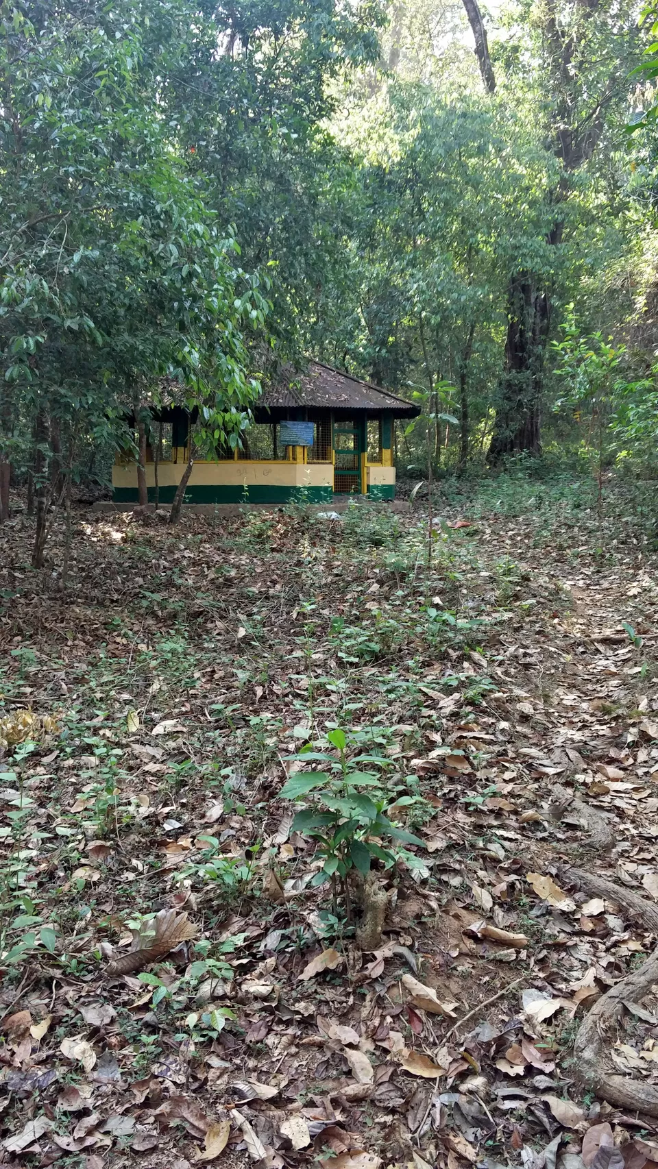 Photo of Kumara parvatha by Kevin Julius