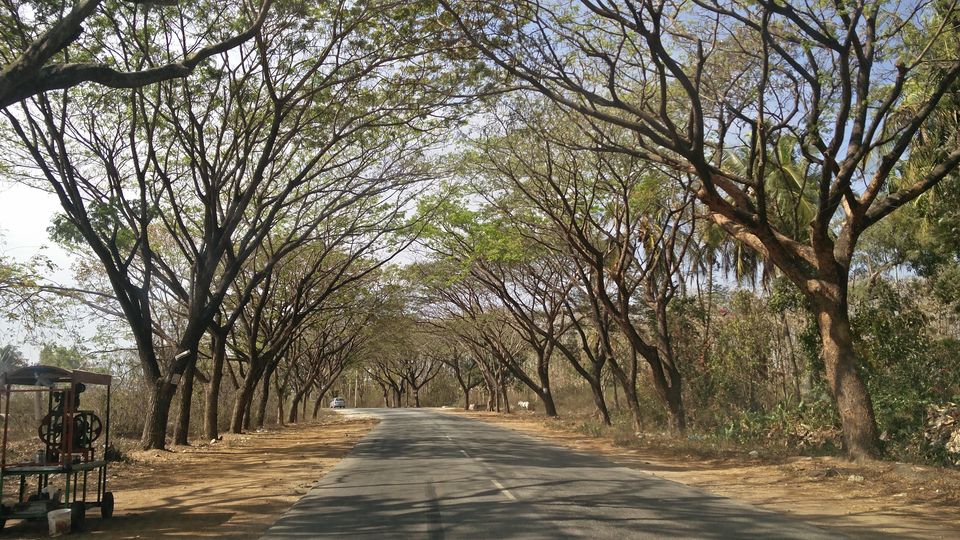 Photo of Weekend getaway to Sakleshpur by kevin julius
