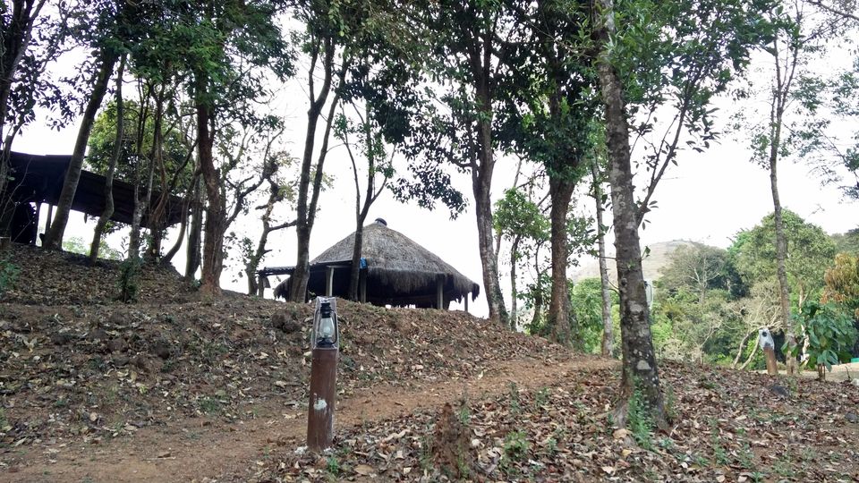 Photo of Weekend getaway to Sakleshpur by kevin julius