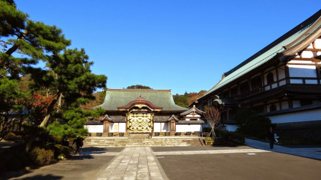 Photo of Solo traveling in Japan 2/13 by Prajna Dutt