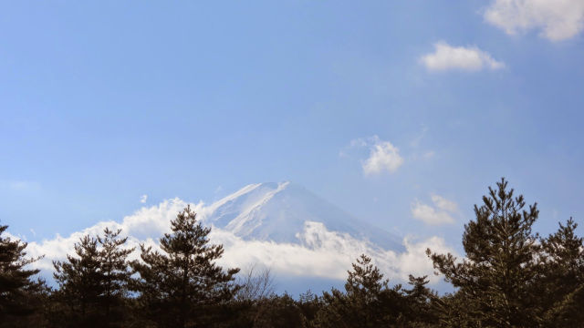 Photo of Solo traveling in Japan 6/13 by Prajna Dutt