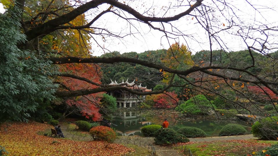 Photo of Solo traveling in Japan 12/13 by Prajna Dutt