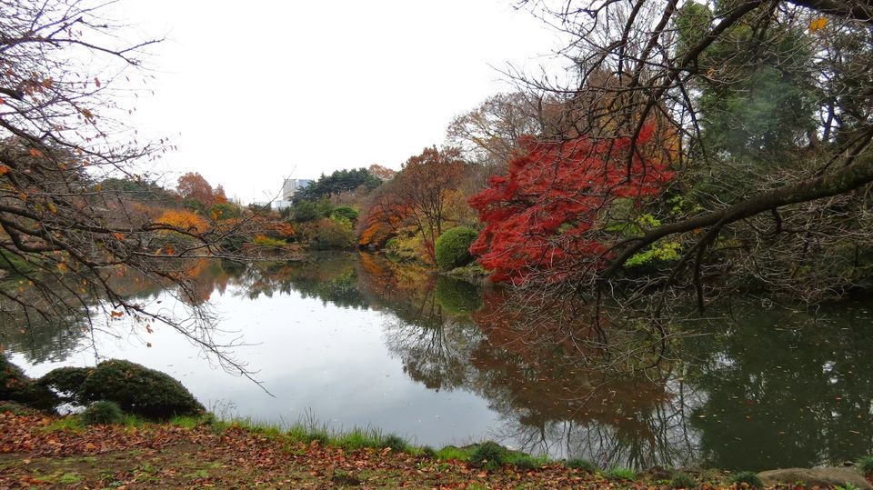 Photo of Solo traveling in Japan 13/13 by Prajna Dutt