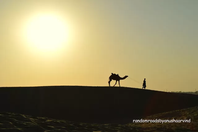 Photo of Sam Sand Dunes, Jaisalmer, Rajasthan, India by randomroadsfamily