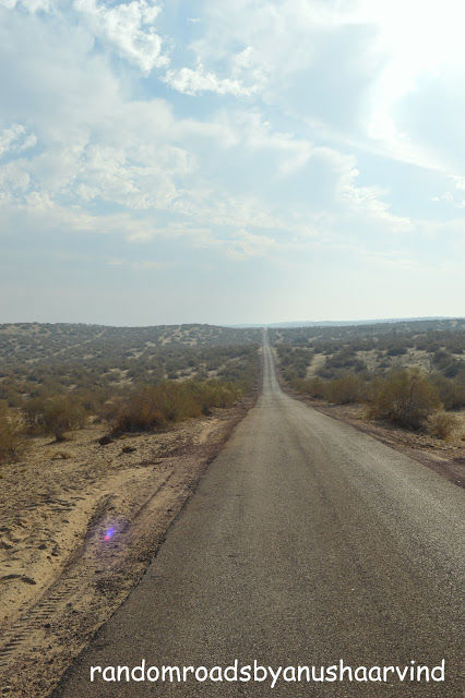Photo of Bangalore Till Pakistan - a Couple Roadtrip through Rajasthan on Budget by randomroadsfamily