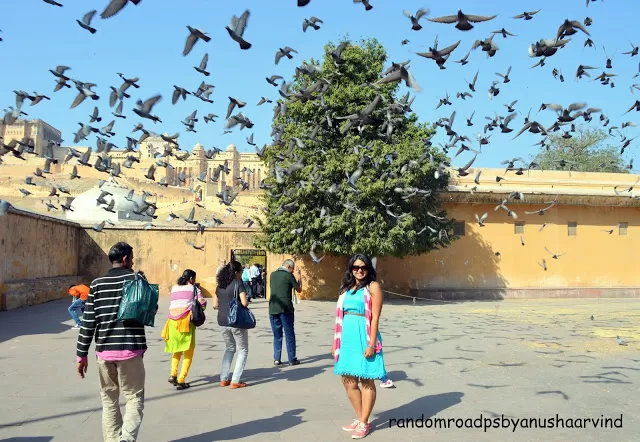 Photo of Jaipur, Rajasthan, India by randomroadsfamily