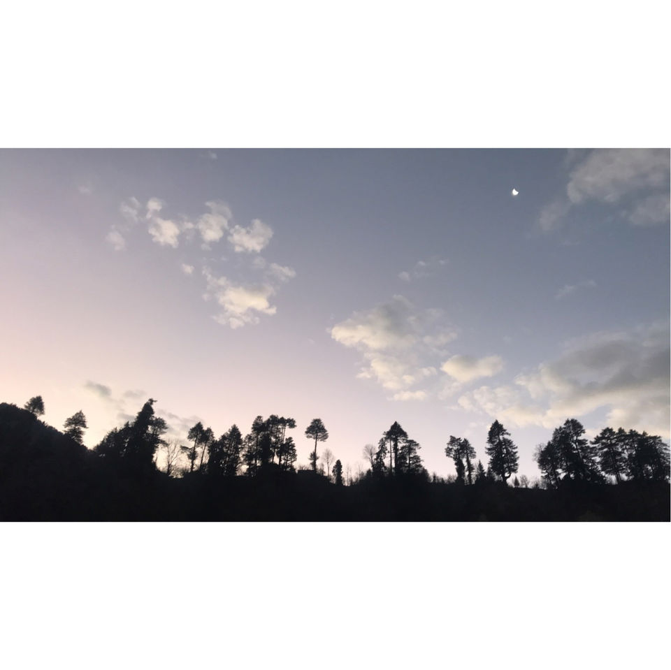 Photo of A Short Roadtrip On Newyeareve19 To Manali by UDit ArOra