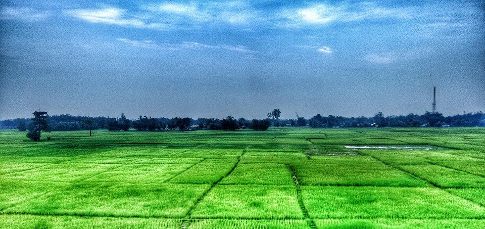 Photo of Zen in Ziro: some guiding pointers! 1/6 by Neha Chandok
