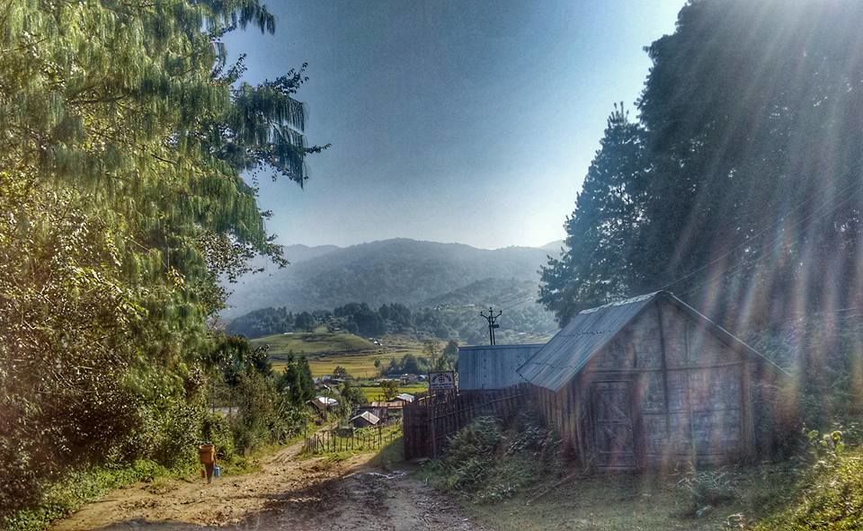 Photo of Zen in Ziro: some guiding pointers! 2/6 by Neha Chandok