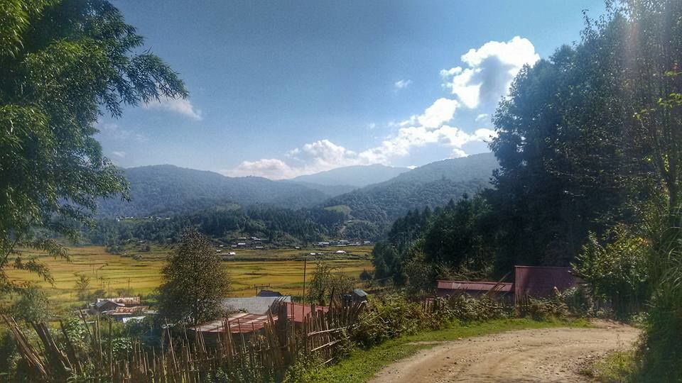 Photo of Zen in Ziro: some guiding pointers! 3/6 by Neha Chandok