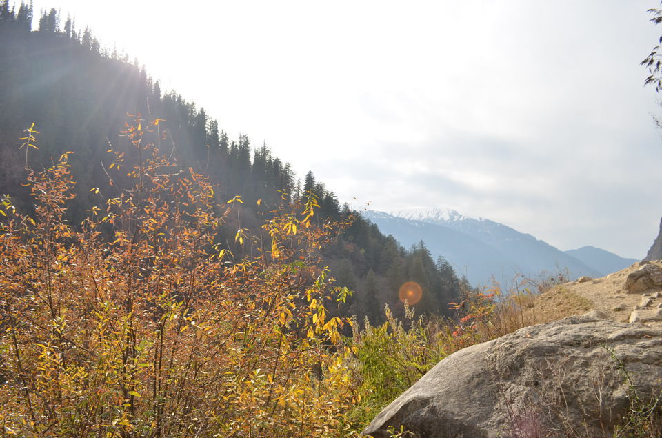 Photo of Lesson from mountain dogs- Keep faith- Kheerganga, Parvati Valley 1/6 by Madhur Saini