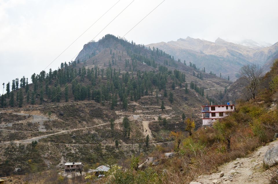 Photo of Lesson from mountain dogs- Keep faith- Kheerganga, Parvati Valley 3/6 by Madhur Saini