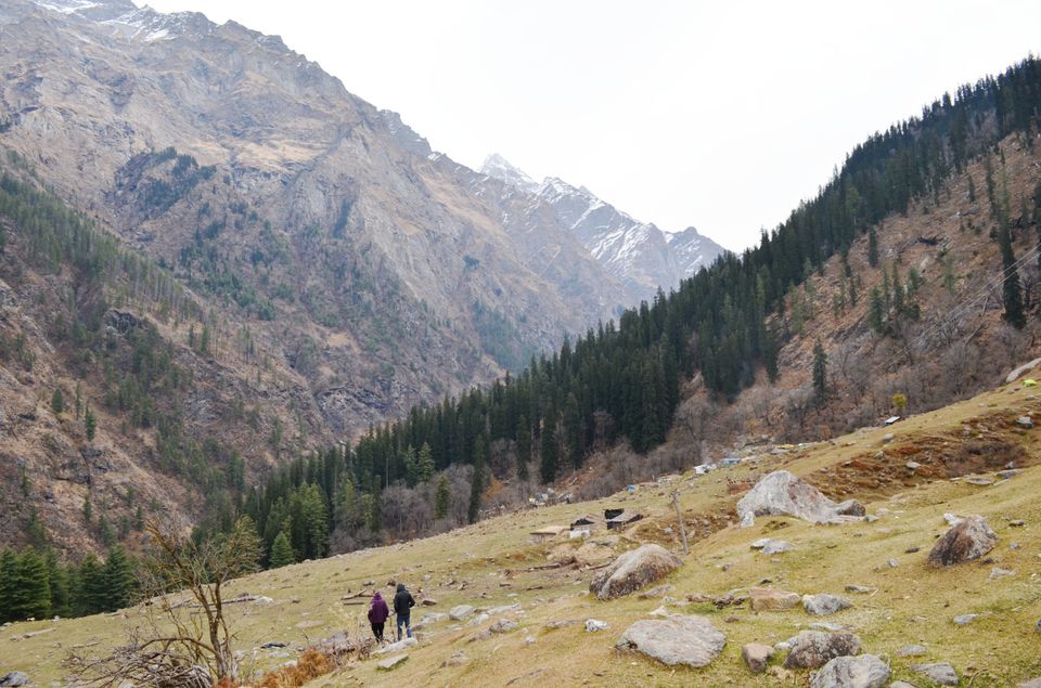 Photo of Lesson from mountain dogs- Keep faith- Kheerganga, Parvati Valley 4/6 by Madhur Saini