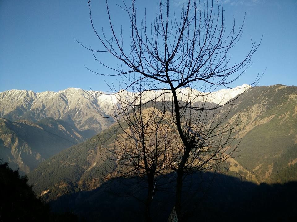 Photo of To peace for which i have craved for so long. 2/10 by Lavi Yadav