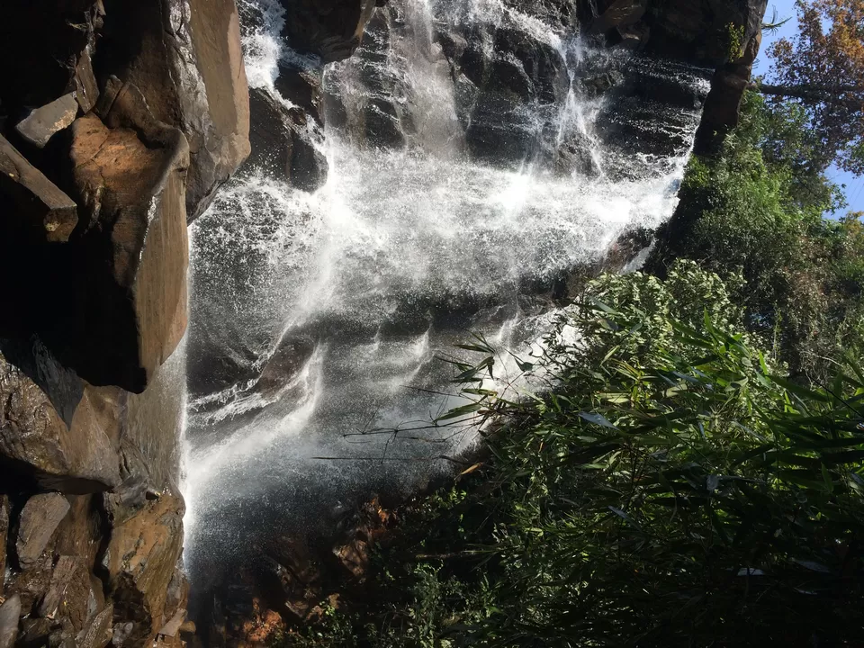 Photo of Sirimane Falls, Sirimane Falls Road, Yedadalli, Karnataka 577139, India by Deepti Vadlamudi
