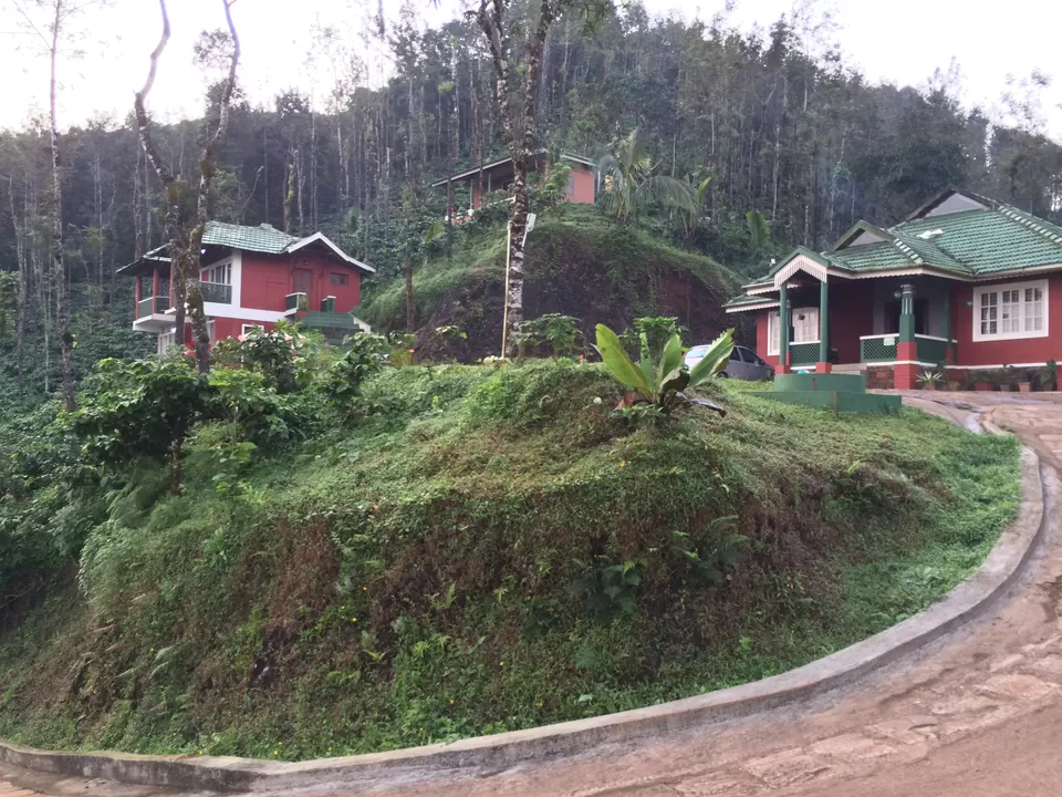 Photo of Thangaali Home Stay, Gaaligandi village, Near Kalasa, Chickmagaluru, Karnataka 577124, India by Deepti Vadlamudi