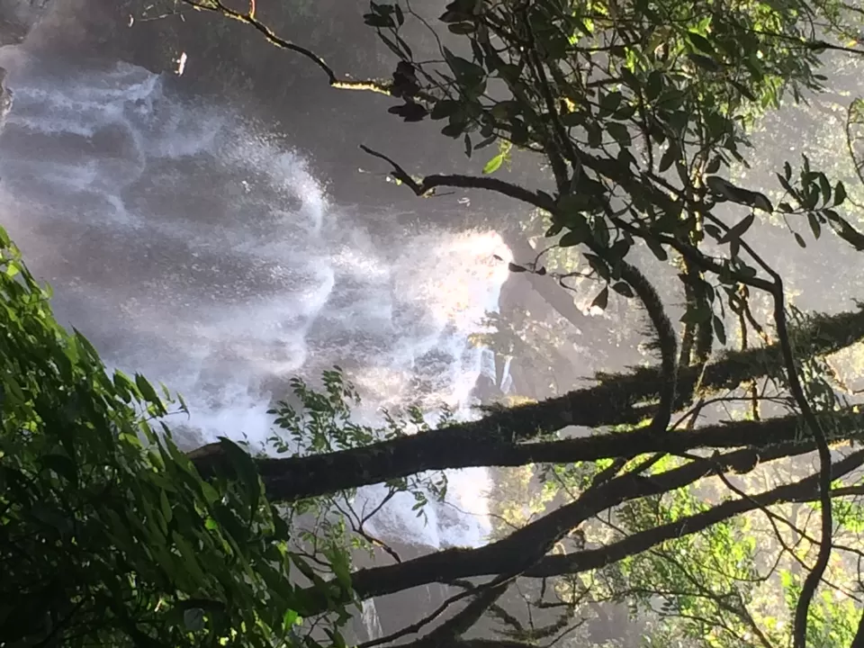 Photo of Hanumana Gundi Waterfalls, Kalasa Main Rd, Sheerlu, Karnataka 577142, India by Deepti Vadlamudi