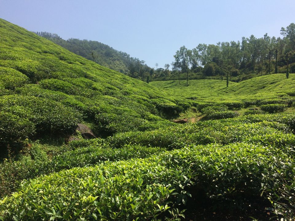 Photo of Solo Trip to Karnataka, India 5/23 by Deepti Vadlamudi