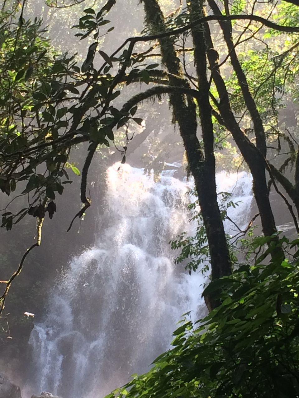 Photo of Solo Trip to Karnataka, India 22/23 by Deepti Vadlamudi