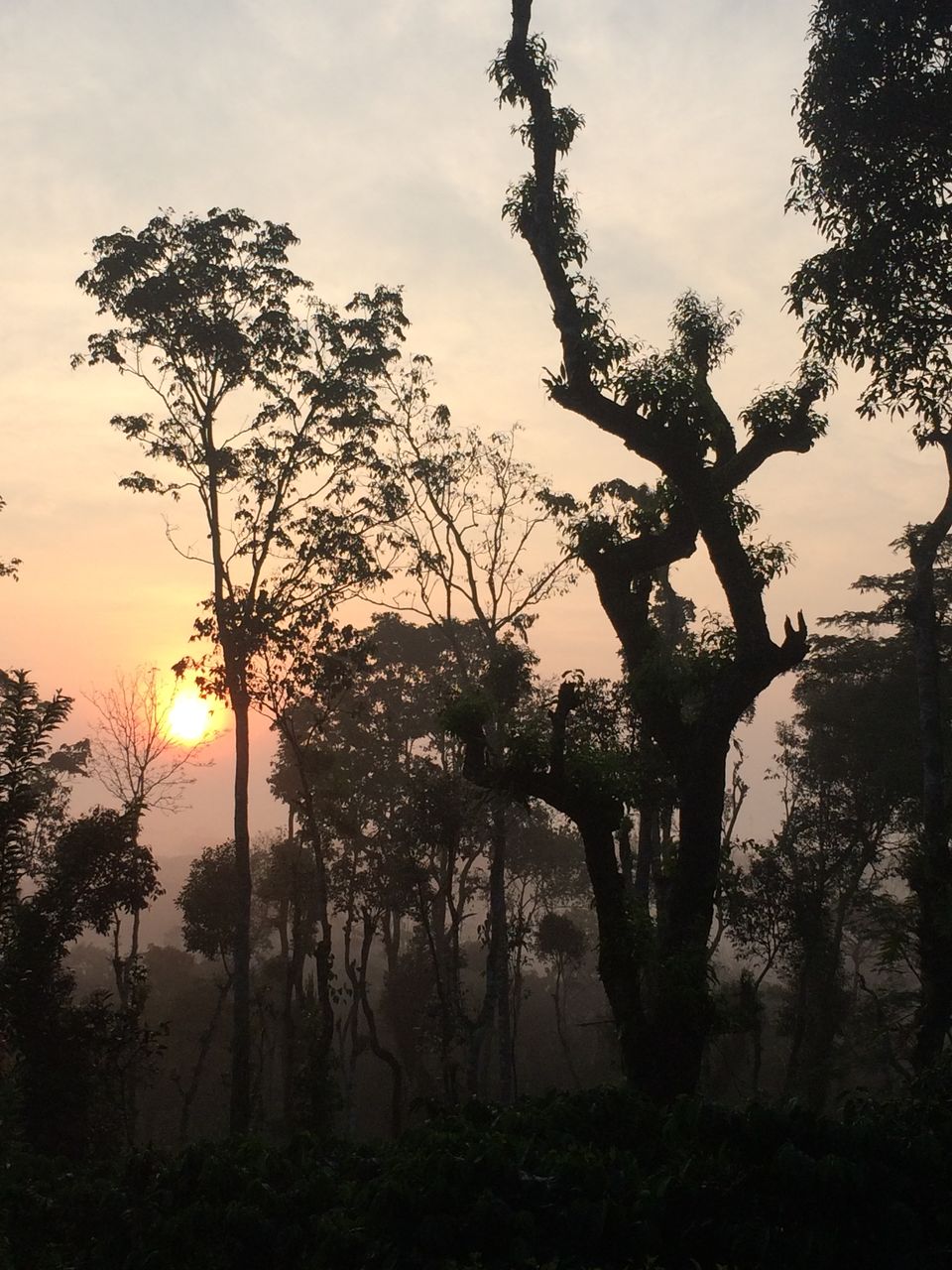 Photo of Solo Trip to Karnataka, India 23/23 by Deepti Vadlamudi