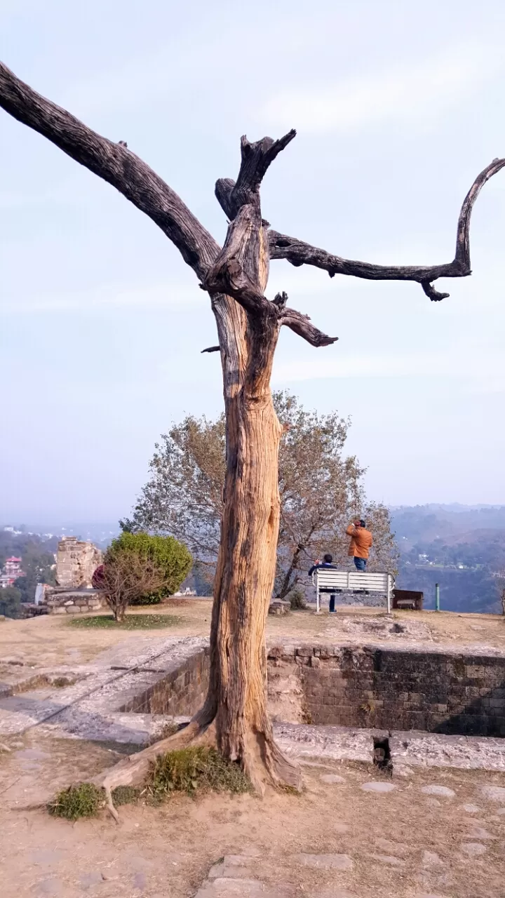 Photo of Triund, Kangra, Himachal Pradesh, India by The Mystic Monk