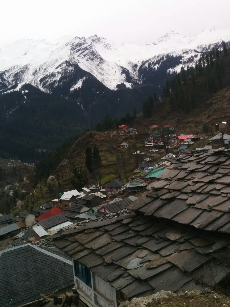 Photo of Kheerganga - From eyes of a first time trekker by Baagi_udaan