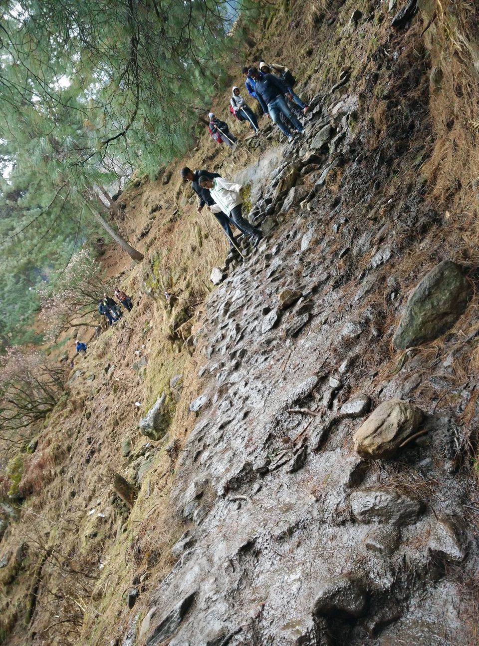 Photo of Kheerganga - From eyes of a first time trekker by Baagi_udaan