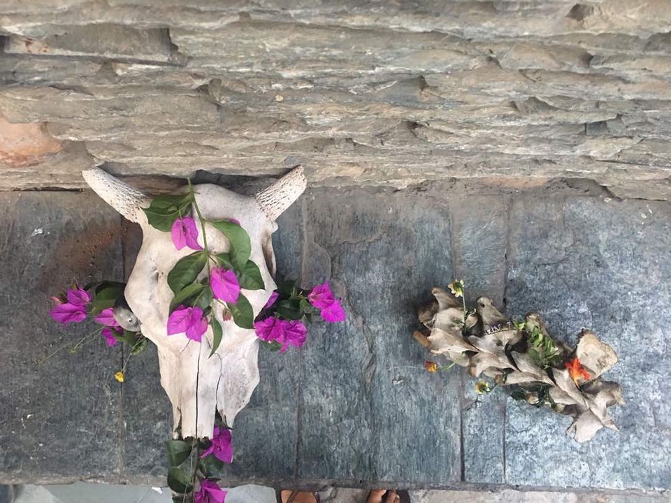 Photo of McLeod Ganj, Dharamshala, Himachal Pradesh, India by Baagi_udaan