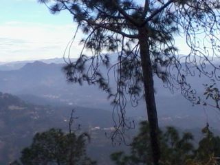 Photo of Kasauli: Weekend Gateway 6/22 by Swati Singh