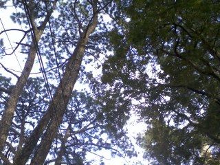 Photo of Kasauli: Weekend Gateway 8/22 by Swati Singh