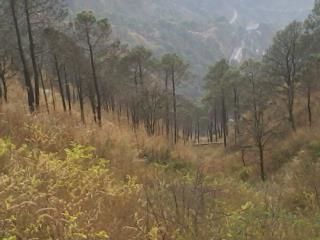 Photo of Kasauli: Weekend Gateway 9/22 by Swati Singh