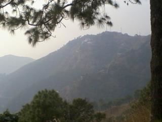 Photo of Kasauli: Weekend Gateway 12/22 by Swati Singh