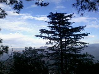 Photo of Kasauli: Weekend Gateway 14/22 by Swati Singh