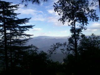 Photo of Kasauli: Weekend Gateway 15/22 by Swati Singh