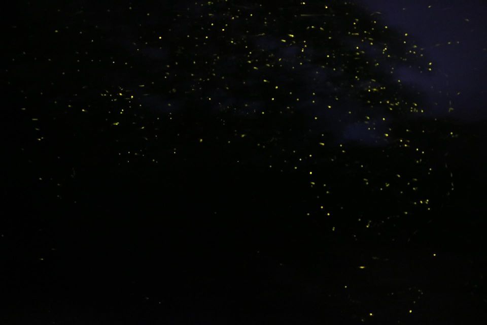 Photo of Sandhan Valley & Fireflies Camping 8/8 by Rahul Puranik