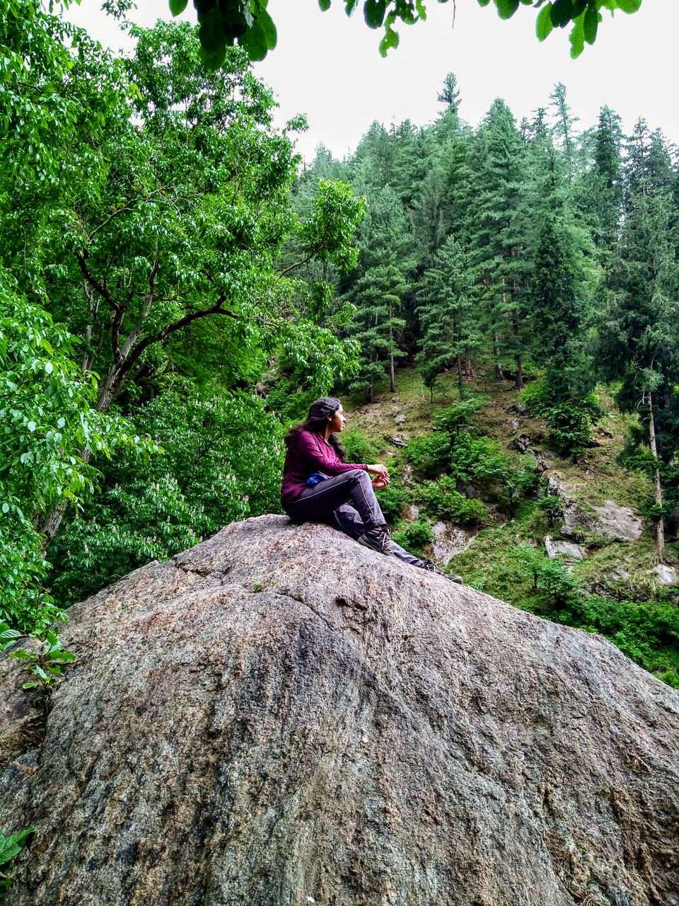 Photo of Kheerganga- My first trek for a "Real" Purpose by Anushree Pathak