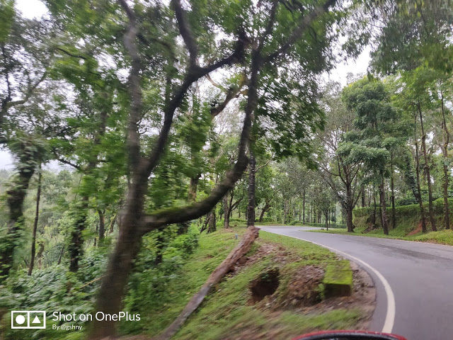 Photo of Kudremukh Monsoon trek and Western Ghats 3/27 by GSHNY