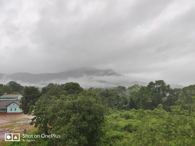 Photo of Kudremukh Monsoon trek and Western Ghats 6/27 by GSHNY