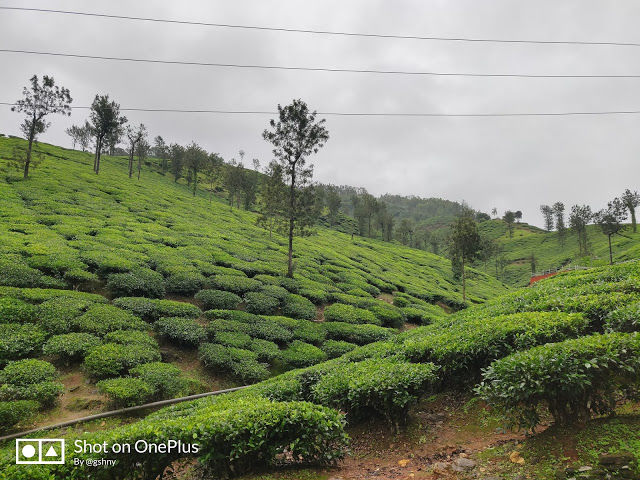 Photo of Kudremukh Monsoon trek and Western Ghats 8/27 by GSHNY