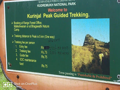 Photo of Kudremukh Monsoon trek and Western Ghats 10/27 by GSHNY